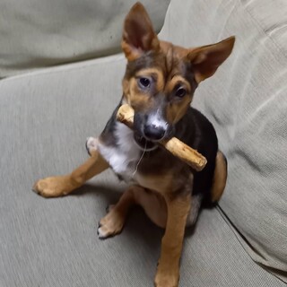 甘え上手なららちゃん