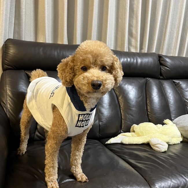 リック1212のカバー写真