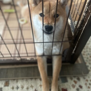 の写真
