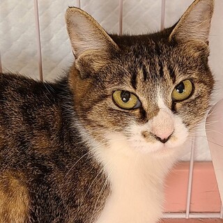 【6/18神田】甘えた全開の不思議系♪