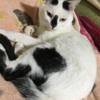 鼻グロがキュートなマメちゃん