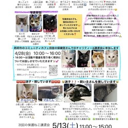 保護猫ちゃんを笑顔にしたくて春2023 サムネイル3
