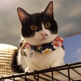 可愛い～が止まらない♡小乃葉(このは)