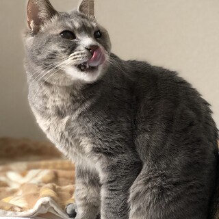 オシッコ対策を試行錯誤してくださる方に♪