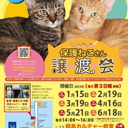 にゃんクルー保護猫さん譲渡会