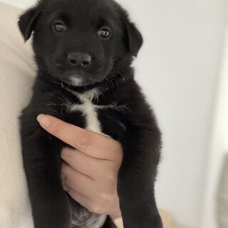 元気な男の子のぽろり⭐︎