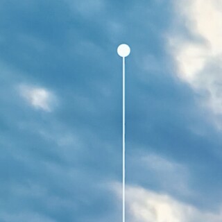 猫カフェに移りました