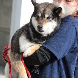 感情を無くしてしまった  たんぽぽちゃん