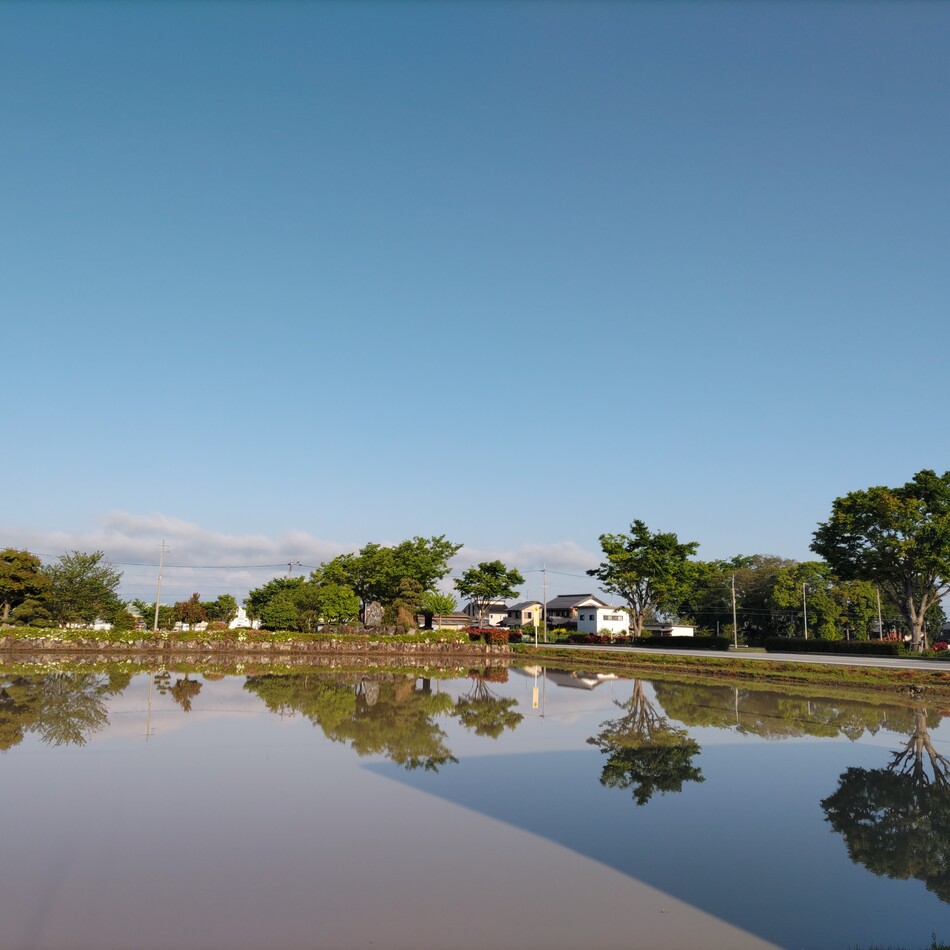 ルフィのカバー写真