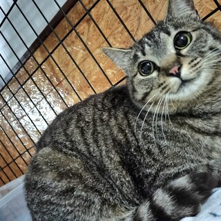 あどけないお顔が可愛いみこちゃん