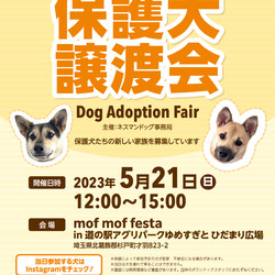 犬の譲渡会 in mof mof festa