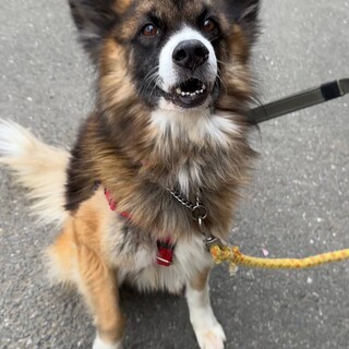 ニコニコご機嫌で甘ったれな男の子です！