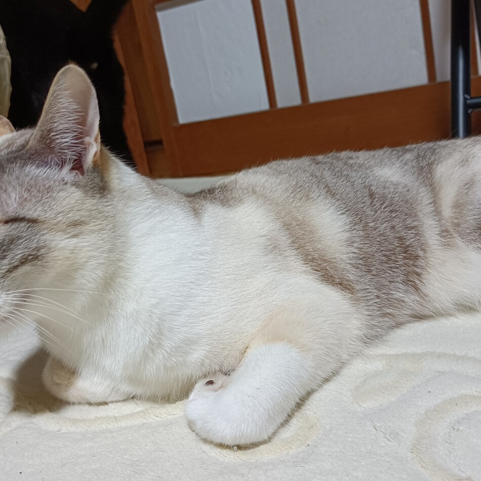 うみのカバー写真