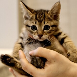 きびもち♡家族ができました