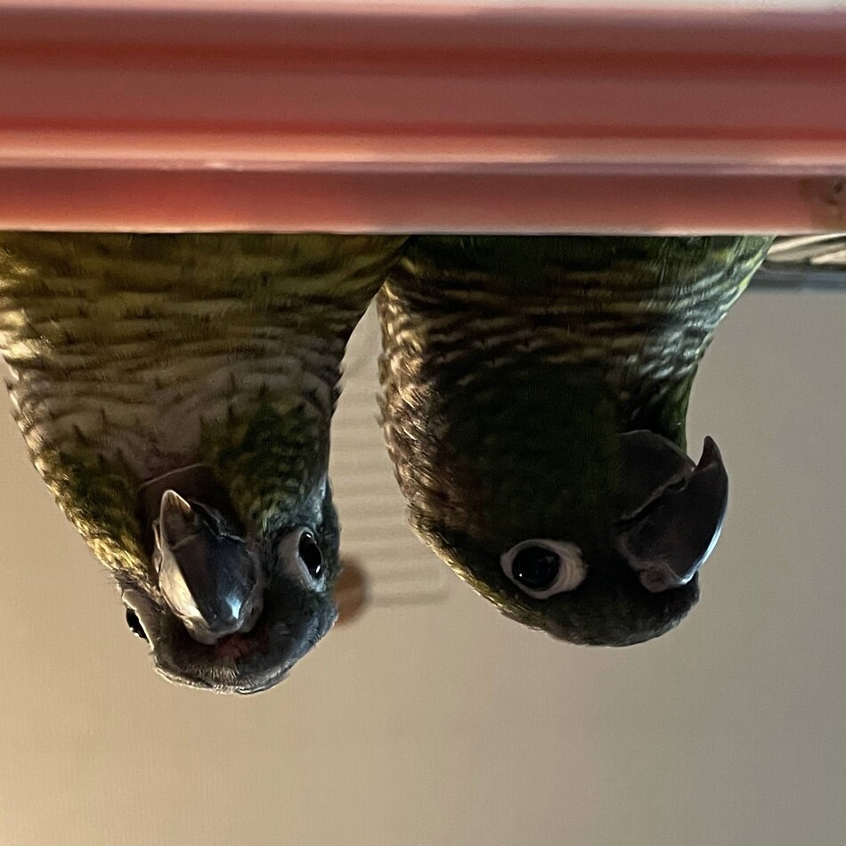 まるのカバー写真