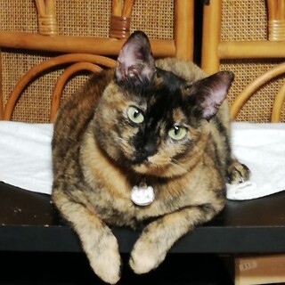 一緒に遊んで♪