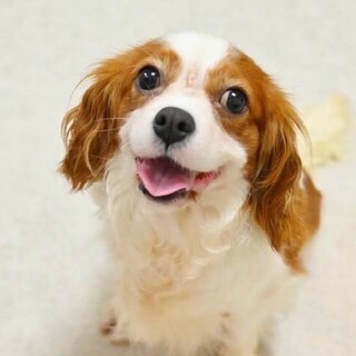 明るく朗らかな元気印の女の子♪