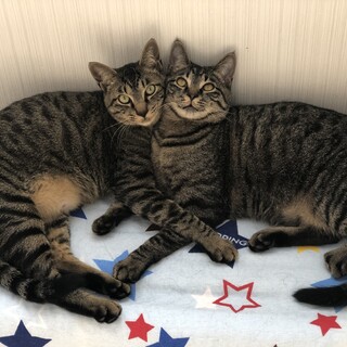 超仲良し兄弟♡