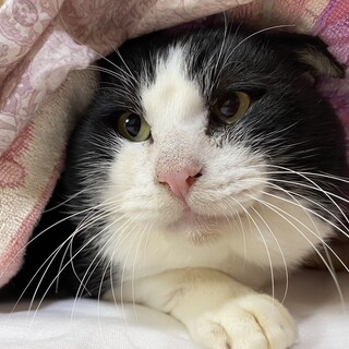 とっても甘えん坊です！