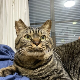 臆病ですが、人馴れ出来ました！