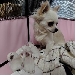 「お久しぶりです。」サムネイル2