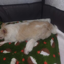 「お久しぶりです。」サムネイル3