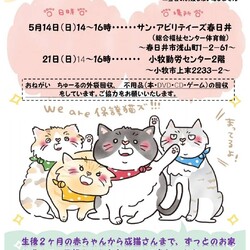 保護猫の譲渡会in春日井