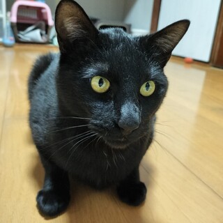 ギャップ萌え！マー君