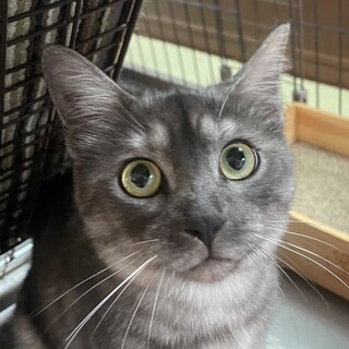 【トライアル決定】なかよしパステルペア♡