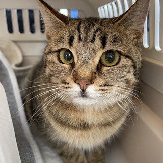 【お見合い随時】個性的なお顔立ち♡まんまる女の子