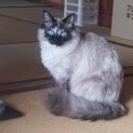 見つかりますように