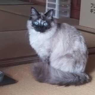 見つかりますように