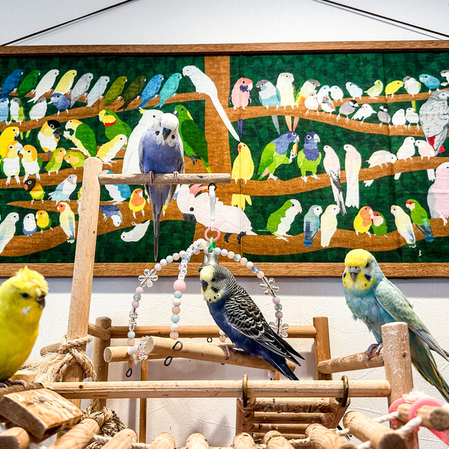 おはぎやま部屋のカバー写真