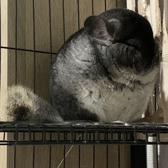 あーちゃん1125のカバー写真
