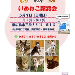 いぬねこ譲渡会