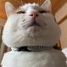 めんみ子さん