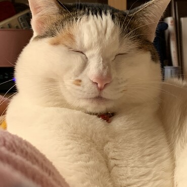 の写真