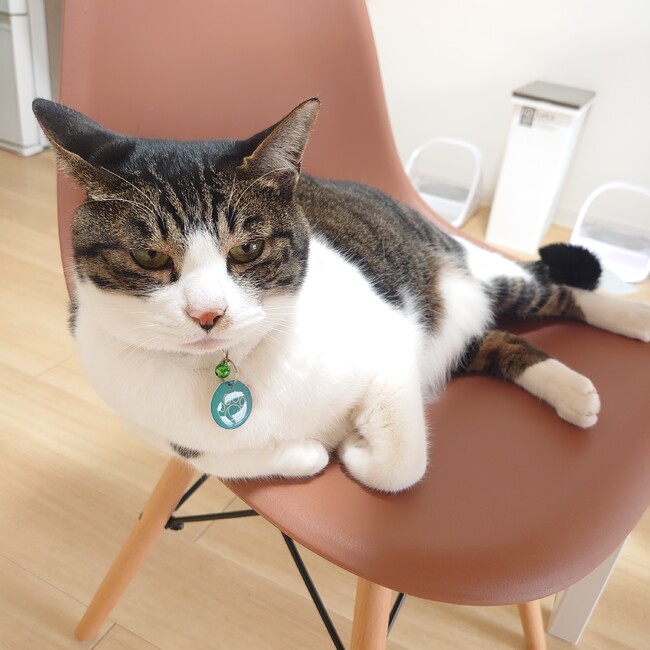 ゆりんこ0803のカバー写真