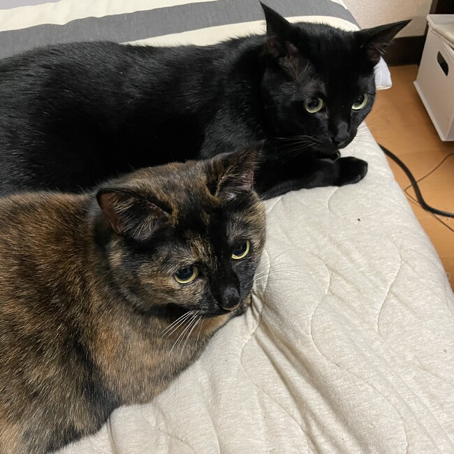 二階堂景介のカバー写真