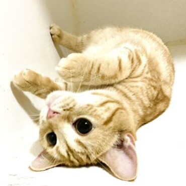 の写真
