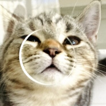 の写真