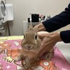 定期検診と爪切り