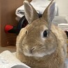 リラックス