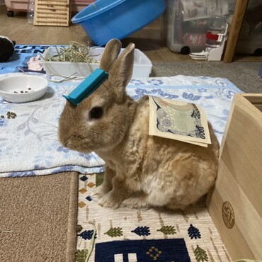 の写真