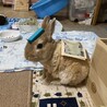 の写真