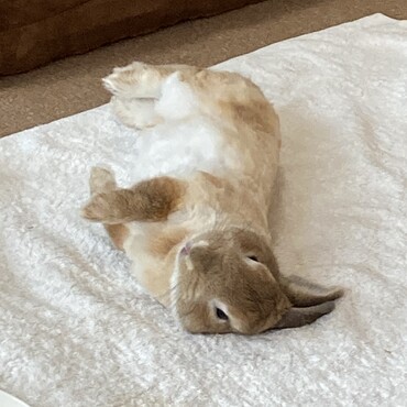 の写真
