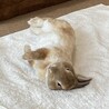 の写真