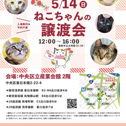ねこざんまい譲渡会@東日本橋