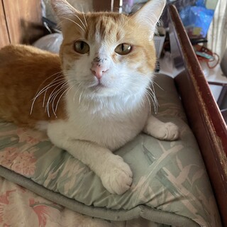 大人しくてちょっと怖がりの男の子