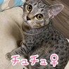 里親決定しました サムネイル3